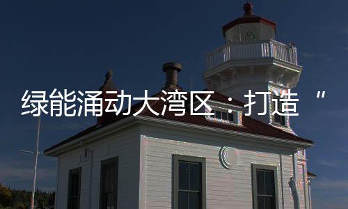 绿能涌动大湾区：打造“科技力+市场化”发展模式，跨区域协作引领“绿色变革”