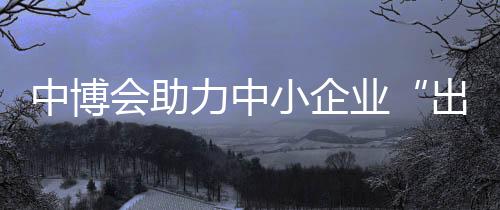 中博会助力中小企业“出海”拓市场